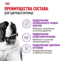Royal Canin Giant Adult Сухой корм для собак гигантских пород 20 кг