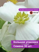 Бегония Вариация белая F1 30шт