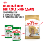 Royal Canin Yorkshire Terrier Adult 8+ Йоркширский Терьер Эдалт Корм сухой для стареющих собак породы Йоркширский Терьер 500г