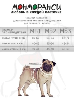 Комбинезон дождевик для собак французский бульдог