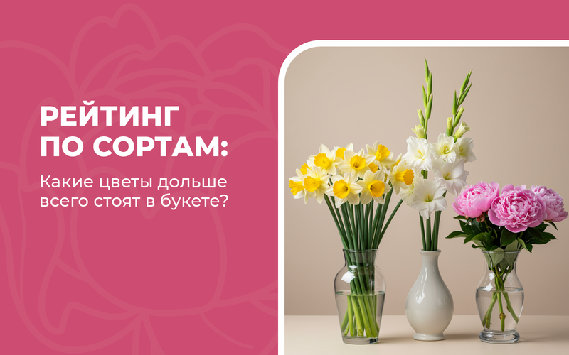 Какие цветы дольше всего стоят в букете: рейтинг по сортам Какие цветы дольше всего стоят в букете: рейтинг по сортам