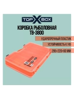 Коробка для приманок TB - 200, прозрачная
