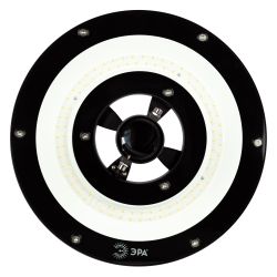 Светильник светодиодный садово-парковый ЭРА SPP-506-0-30K-060 60Вт 3000K IP65 черный | Садово-парковые светильники