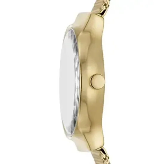Женские часы Skagen SKW3110