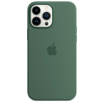 Силиконовый чехол с поддержкой MagSafe Apple Silicone Case для iPhone 13 Pro Max, Eucalyptus (Эвкалипт)