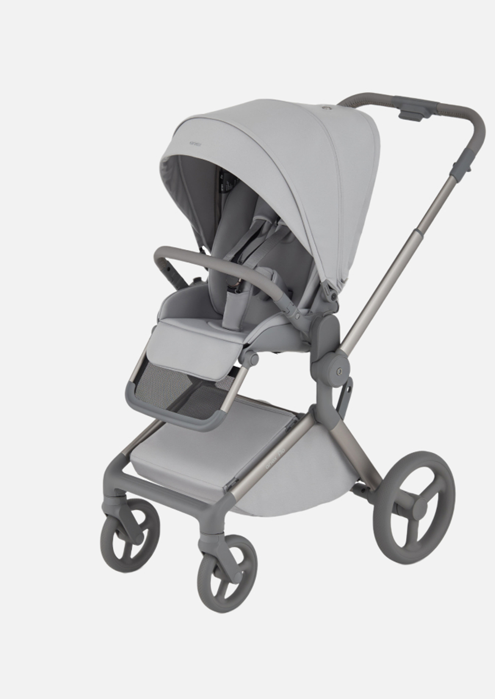 Anex Детская коляска Flo 2 в 1 Frossy