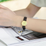 Женские наручные часы Casio Vintage LTP-1094Q-9A