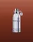 Montale Patchouli Leaves