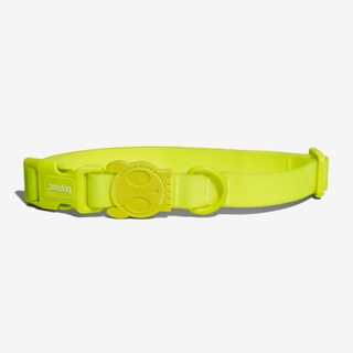 Ошейник NEOPRO LIME Zee.Dog