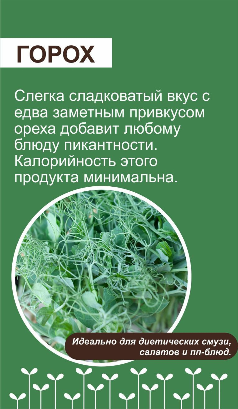 Набор для выращивания микрозелени ЛЕГКИЙ СТАРТ: семена, агровата, лотки