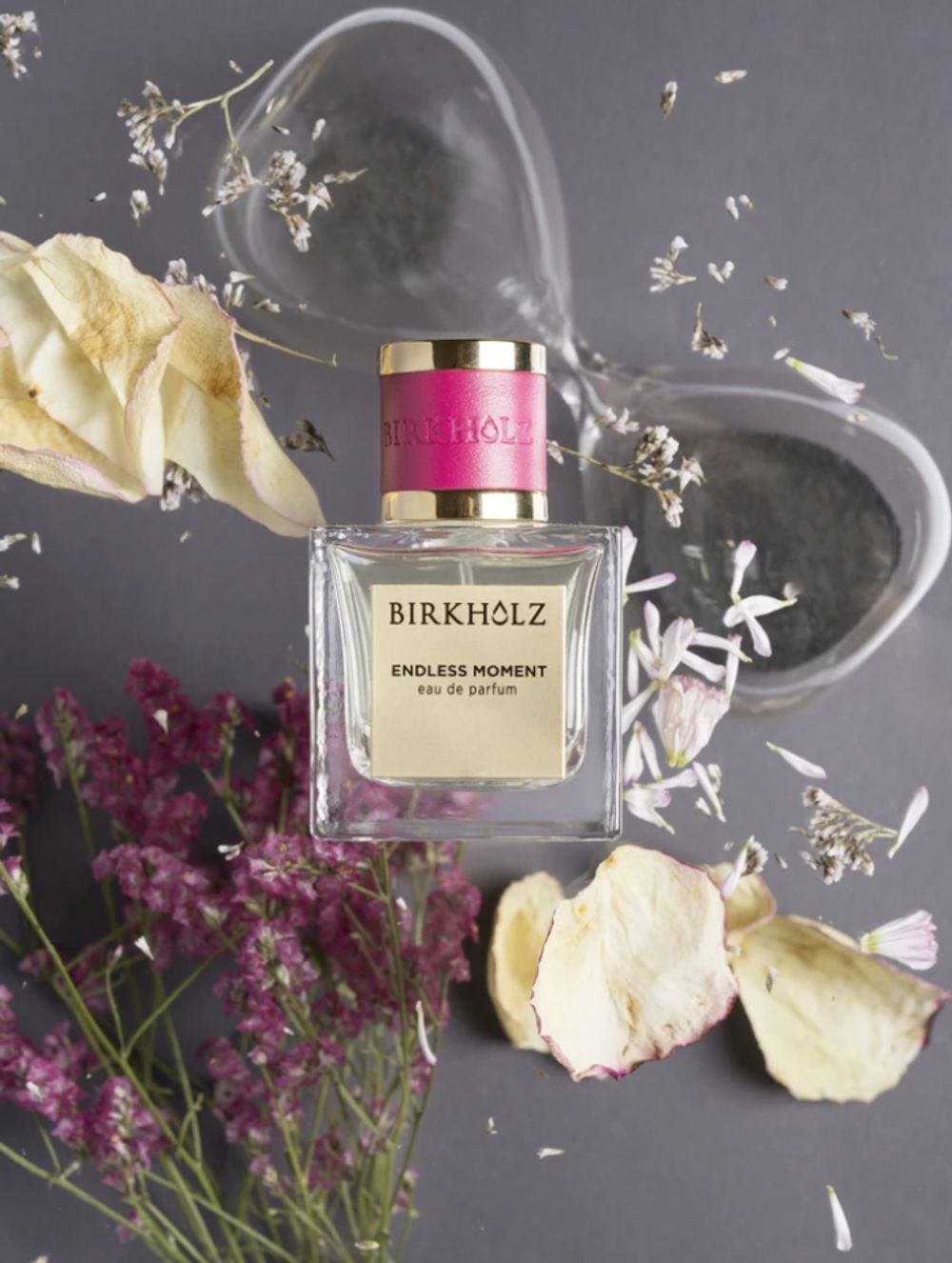 Birkholz Endless Moment