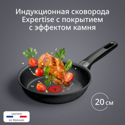 Сковорода Tefal Expertise 20 см G3210232