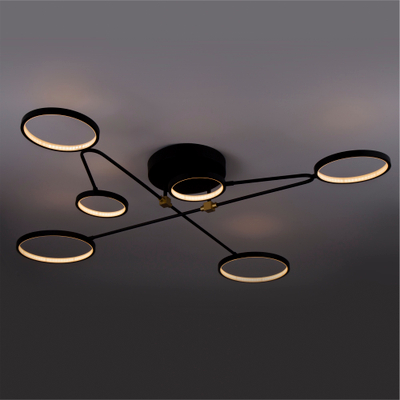 Потолочный светильник LED4U L260-6