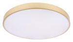 Накладной светильник Loft it Flims 10228/B