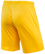 Шорты игровые CAMP Classic Shorts, желтый/белый