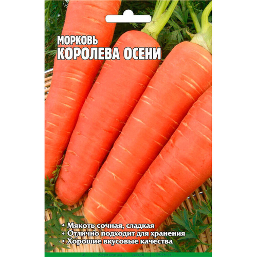 Морковь Королева осени (3500 сем)