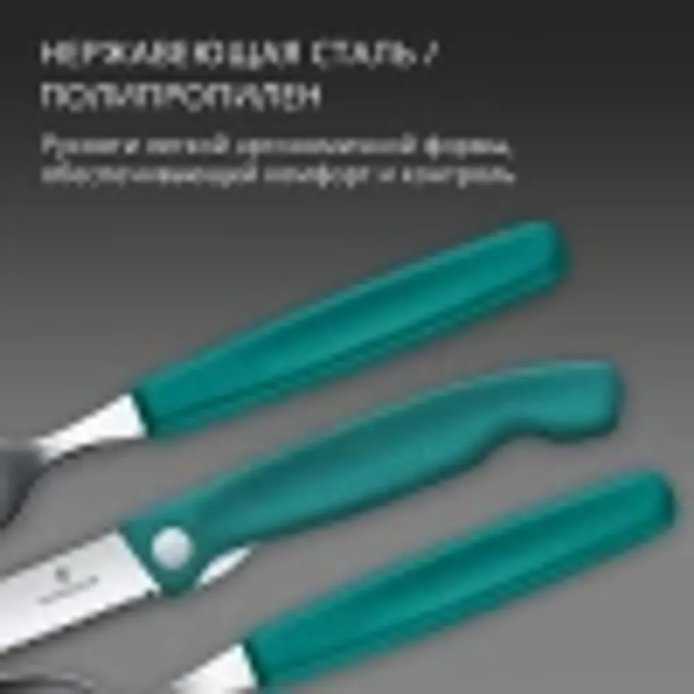 Набор столовых приборов Victorinox Swiss Classic (6.7194.3FC1) 4