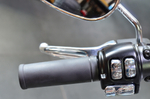 Harley-Davidson Fat Boy 114, 2021 (с НДС)