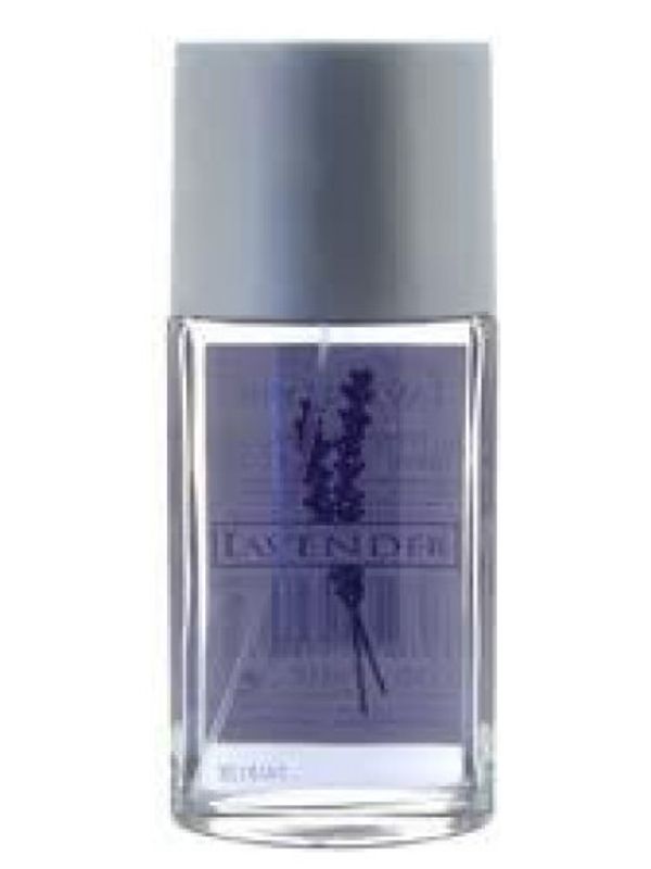 Mayfair Lavender