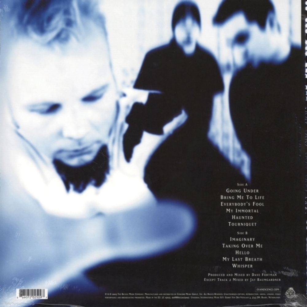 Evanescence / Fallen (LP)