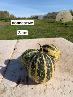 Тыква мини