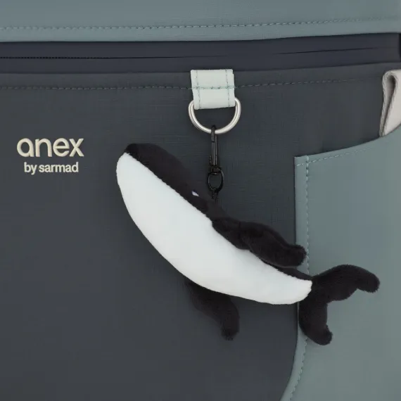 Коляска ANEX Eli 2 в 1 Wavy x Sarmad