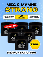 Мёд натуральный с мумие STRONG набор (6 банки по 450 г), 2700 г