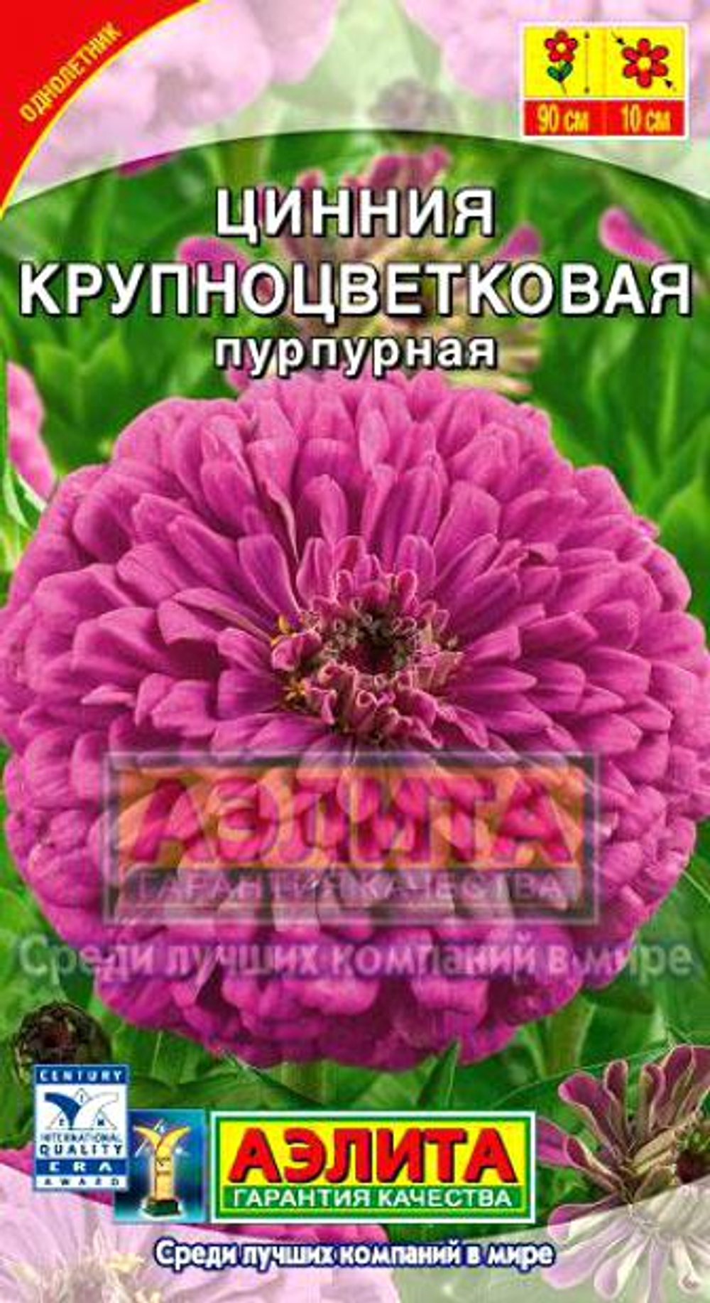 Цинния Крупноцветковая пурпурная 0,3гр