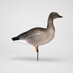 Гусь гуменник Duck Mania "ALFA"