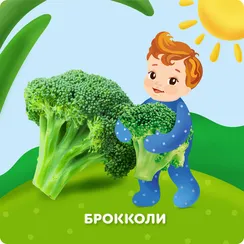 Пюре Агуша Брокколи с 4 мес 80 г
