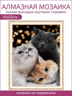 Алмазная мозаика на подрамнике 40х50 "Котики"