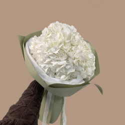 Пять белых гортензий Pure White