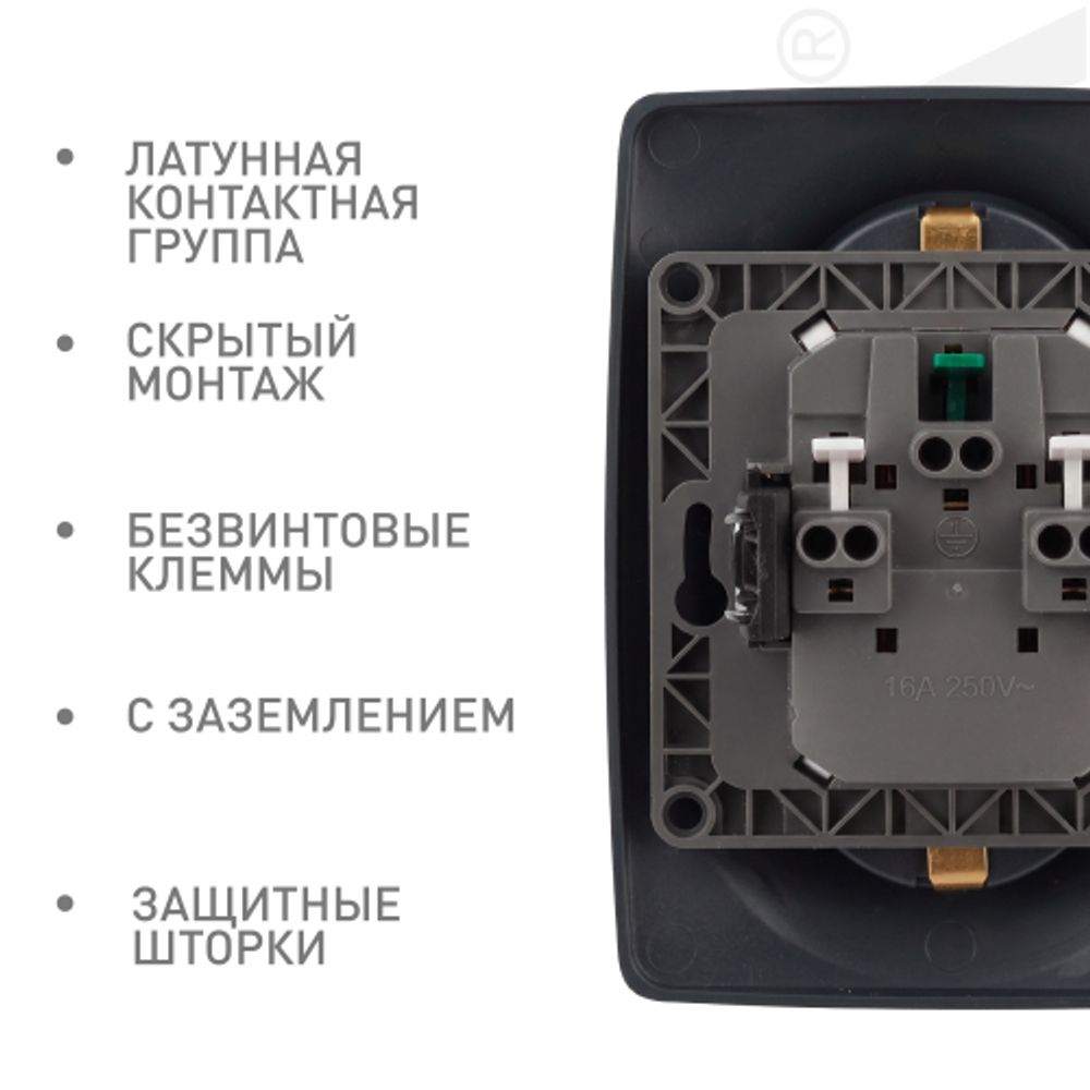 Розетка ЭРА Серия 12 12-2108-05 2X2P+E Schuko со шторками 16A-250В IP20 антрацит | Эра 12
