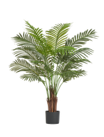 Пальма Арека Хризалидокарпус New в-120 см (Sensitive Botanic) 4/4 10.11954N