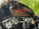 Harley-Davidson Softail Standard, 2024 с НДС