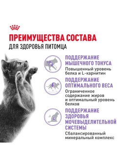 Sterilised 37 Корм для кошек 2кг