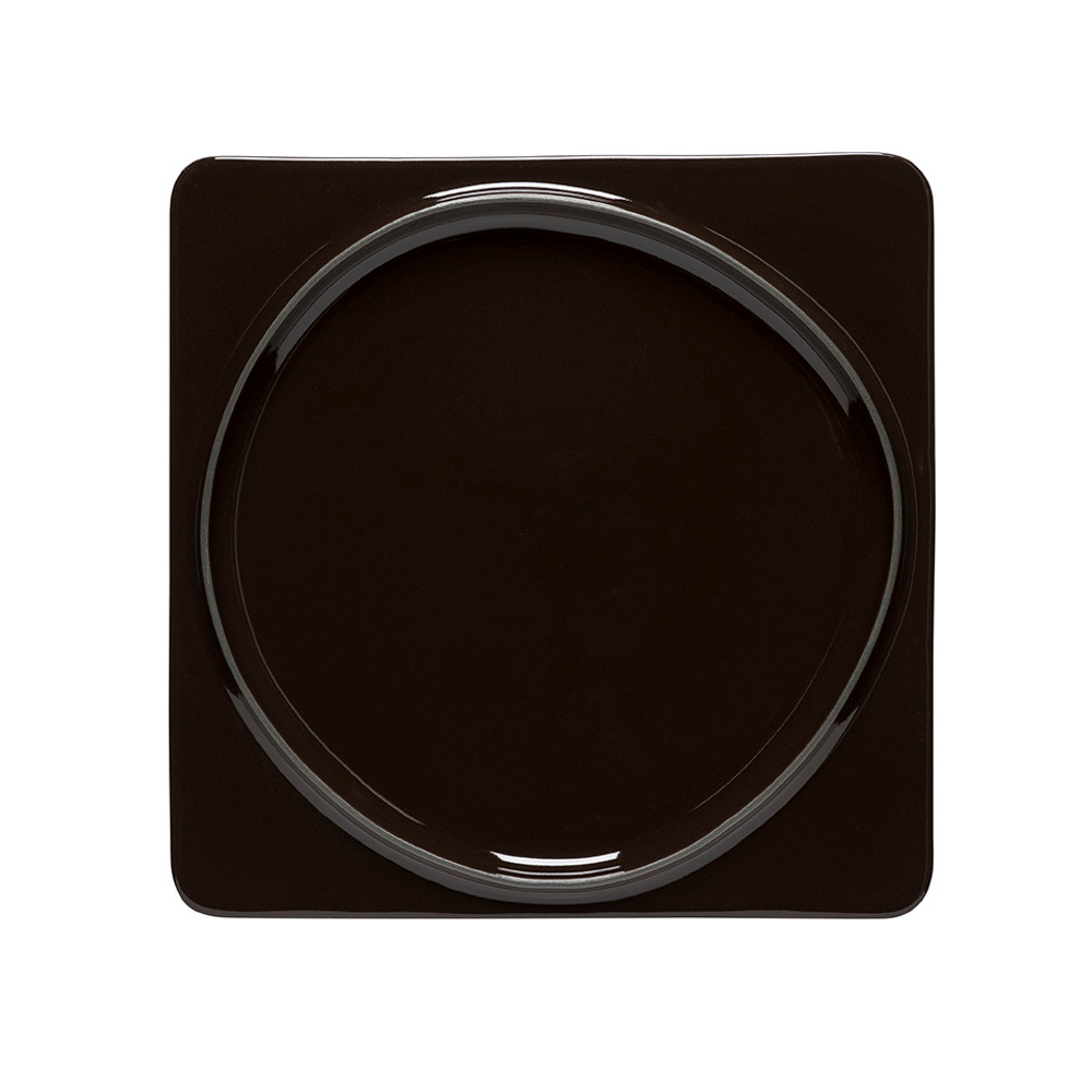Тарелка Costa Nova Ambar Chocolate 1abp271-cho(1abp271-01816h)