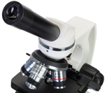 Микроскоп Levenhuk Discovery Atto Polar