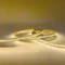 Светодиодная лента Светодиодная лента 2001-31065 Favourite