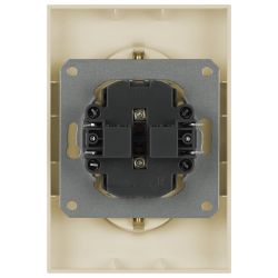 Розетка ЭРА Galaxy 15-2104-04 с заземлением двойная 2X2P+E Schuko 16А-250В IP20 шампань | Эра Galaxy