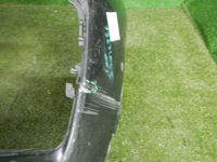 DSCN4202.jpg