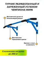 Турник Настенный AKTIV Черный