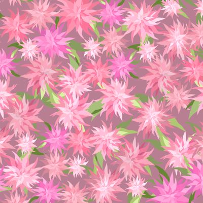 Букет из астр