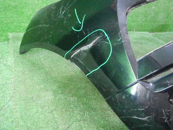 DSCN6784.JPG