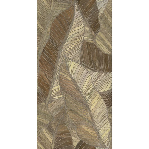 Декор Argenta Studio Litter Decor 60x120