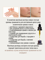Масло крапивы (инфуз)