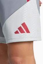 Шорты adidas Liverpool FC 26/27 Training - серый