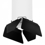 Накладной светильник Lightstar Rullo R6496487