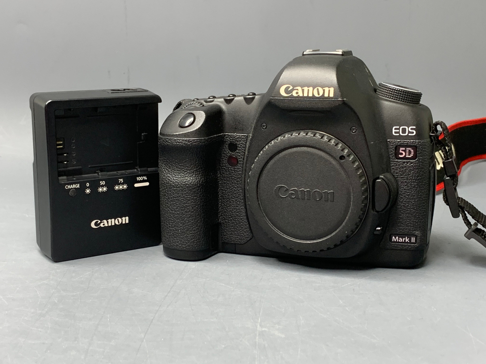 Canon EOS 5D Mark II Body 29229 Кадров