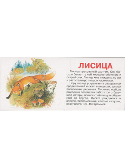Мир Животных (20 карточек)